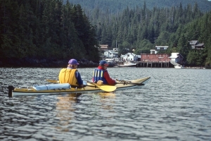 kayaks in Telegraph Cove