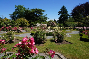 Rose Garden at Government House
