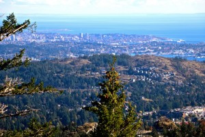 View from Mt. Finlayson, Victoria, BC Visitor in Victoria