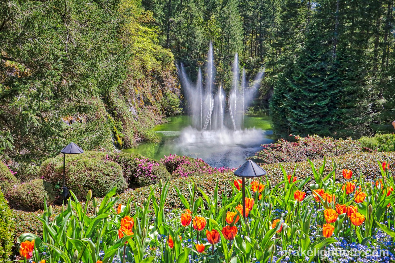 Butchart Gardens Visitor In Victoria