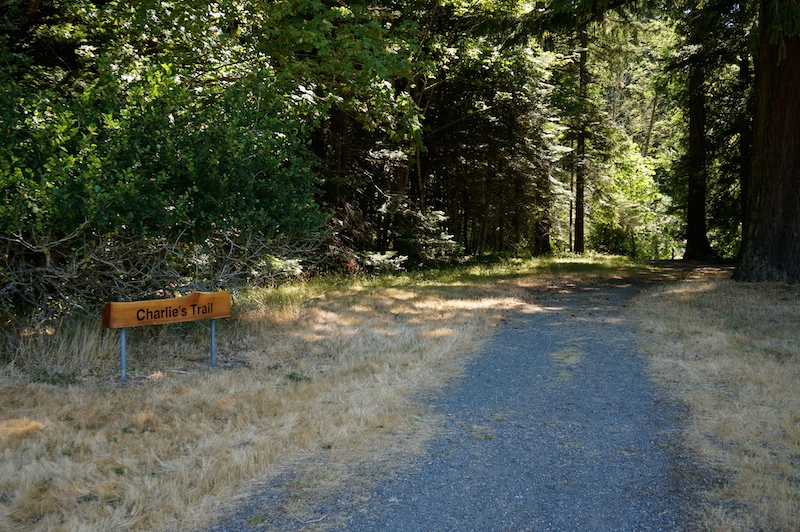 entrance to Charlie's trail