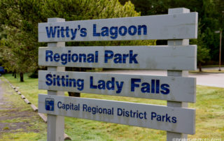 Witty's Lagoon Sign