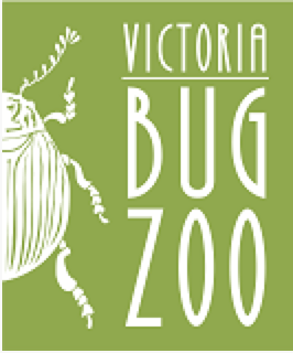 Bug zoo logo