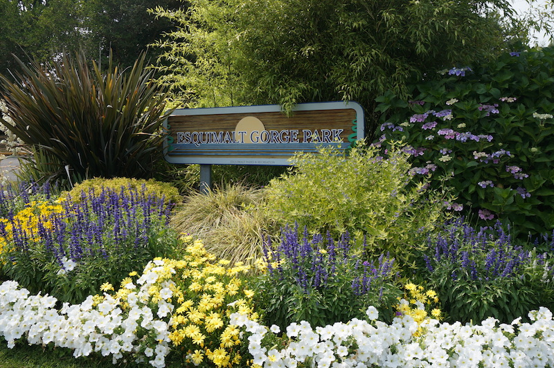 esquimalt gorge park sign, Victoria, BC, YYJ, Vancouver Island, Visitor in Victoria