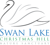 Swan Lake Logo