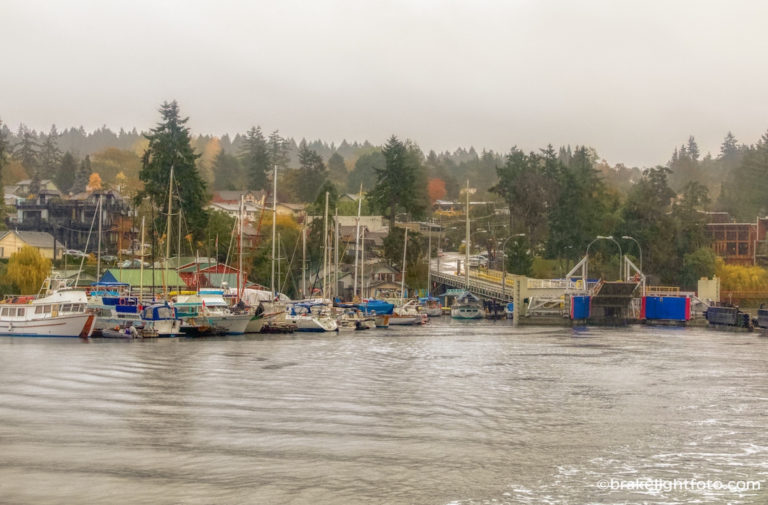 Mill Bay Ferry Visitor In Victoria