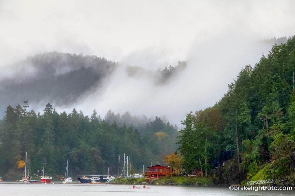Mill Bay Ferry Visitor In Victoria