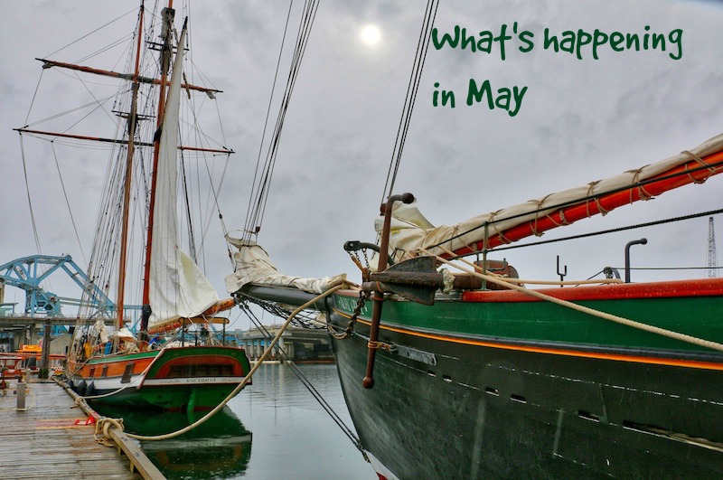 What's Happening in May, Visitor in Victoria, Victoria BC