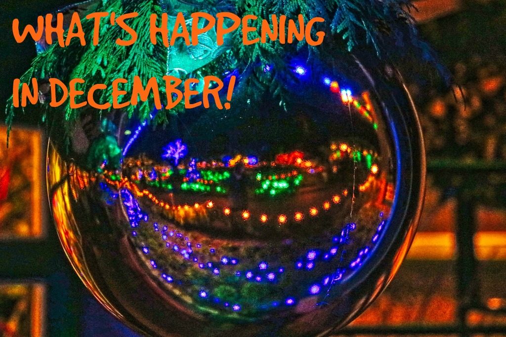 What's happening in December, Visitor in Victoria