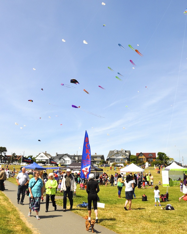 Victoria International Kite Festival, Victoria, BC Visitor In Victoria
