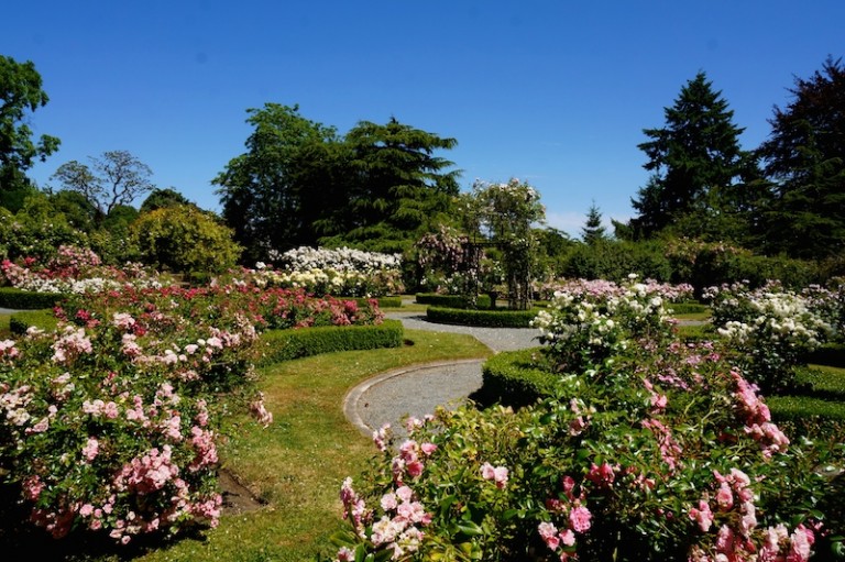 5 Best Gardens in Victoria, BC Visitor In Victoria