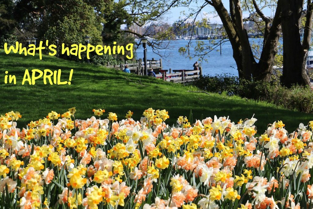 What's happening in April, Visitor in Victoria, Victoria, BC