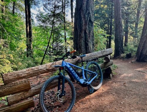 MOUNTAIN BIKING IN VICTORIA