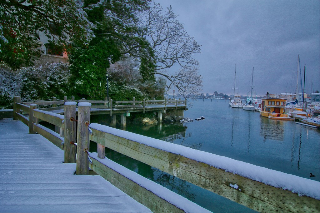DOES IT SNOW IN VICTORIA, BC? Visitor In Victoria