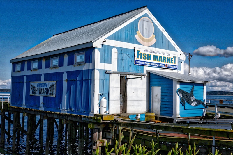 Sidney Fish Market at end of Beacon Dr., Sidney, BC, Visitor in Victoria