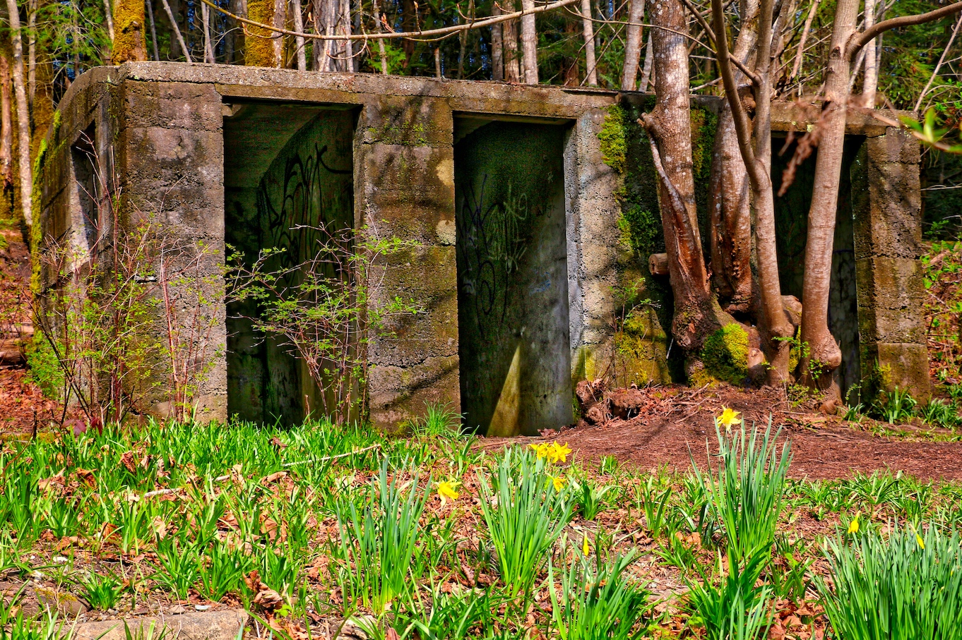Tod Inlet Cement Plant Ruins