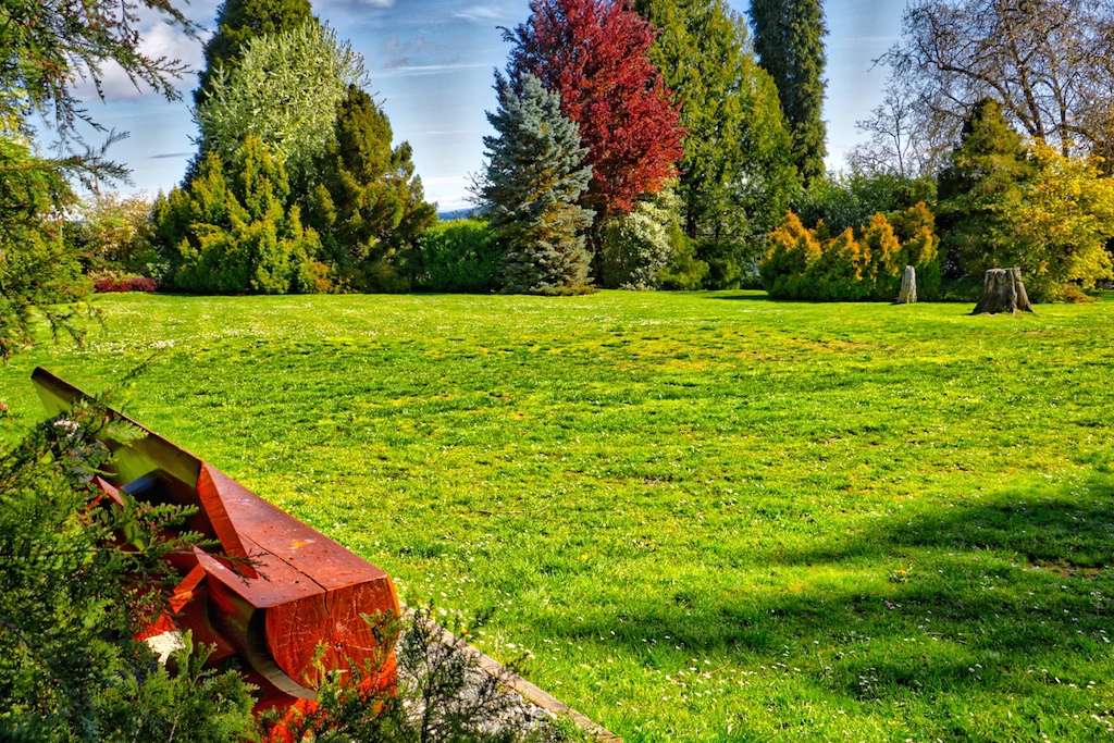 Bench and view in Dominion Brook Park, Victoria, BC, Visitor in Victoria, Parks in Victoria