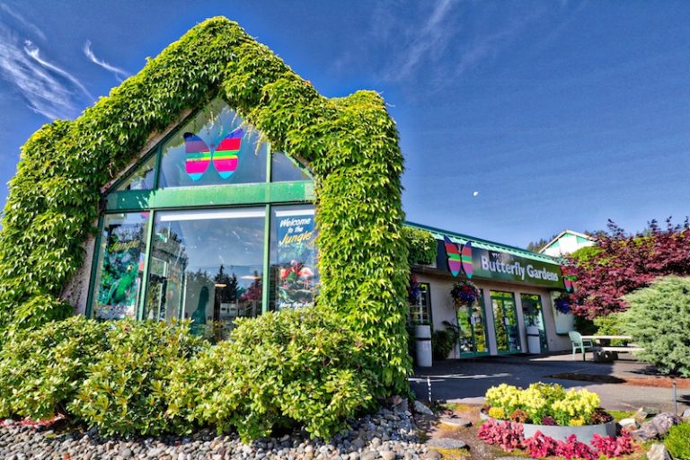 VICTORIA BUTTERFLY GARDENS Visitor In Victoria
