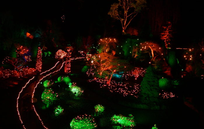 Butchart Gardens Christmas Lights, Visitor in Victoria