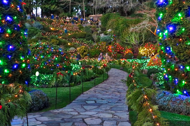 Butchart Gardens Christmas Lights Visitor In Victoria