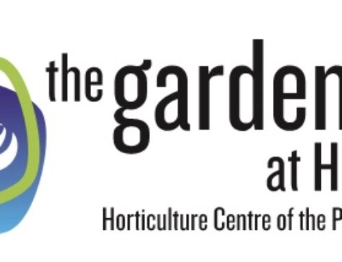 ARTS & MUSIC IN THE GARDENS