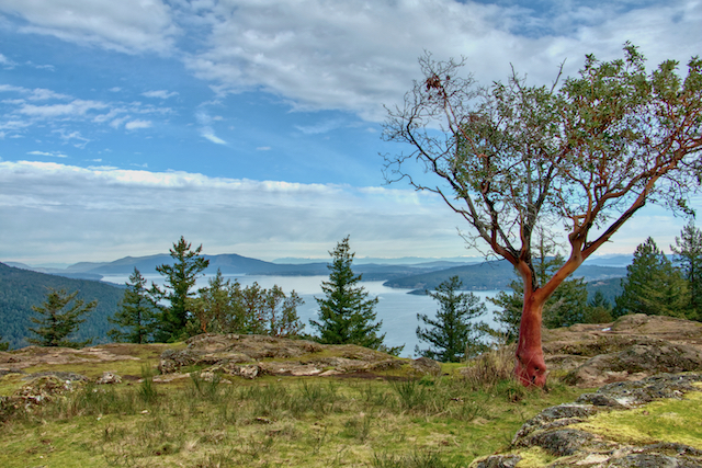 Views of Saanich Inlet from Squally Reach Viewpoint, Gowlland Tod Provincial Park